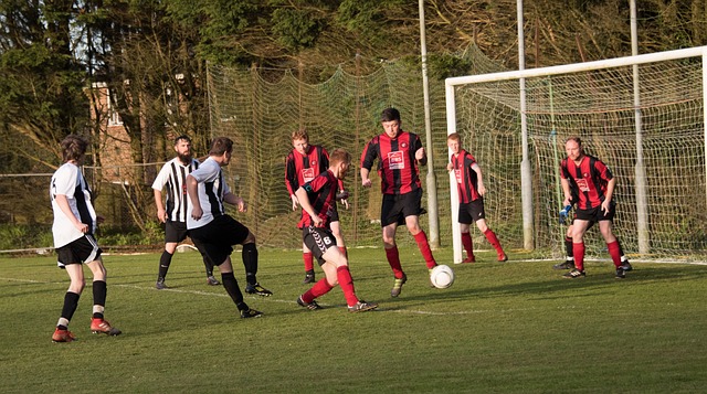 完美結合 完美結合