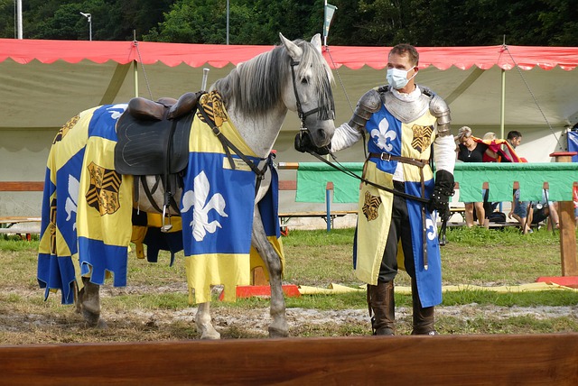 生态环境领域十大热词看2024美丽中国建设新成效.