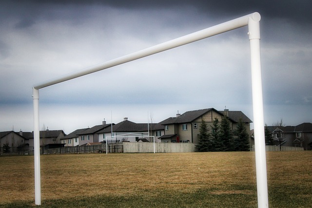 爱与坚韧 爱与坚韧