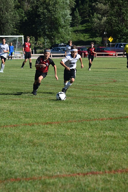 每支球队都 每支球队都