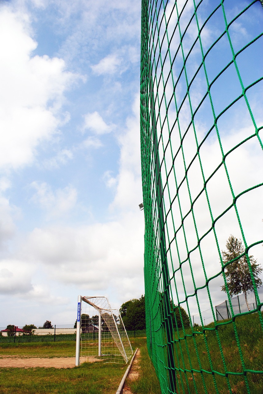 还通过其坚 还通过其坚