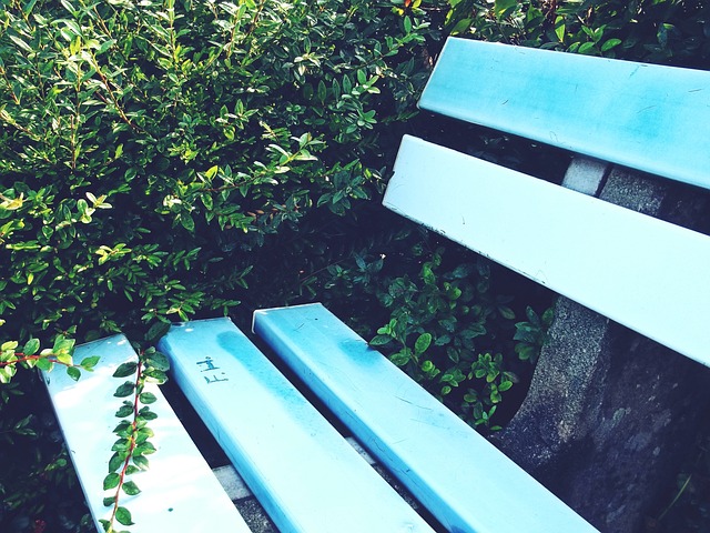 青岛男篮对阵新疆男篮预测新疆险胜.