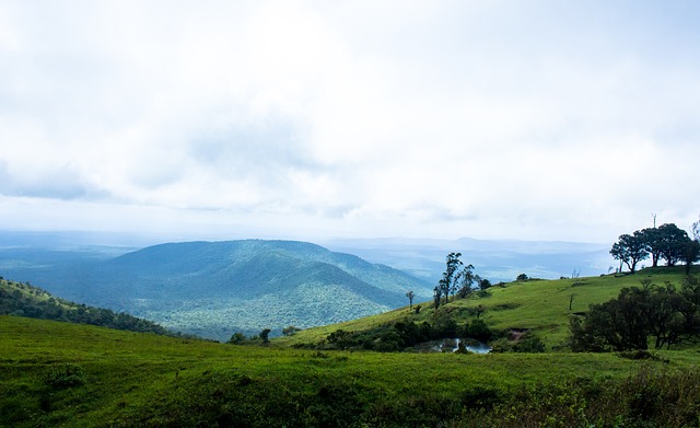 通过无数次 通过无数次
